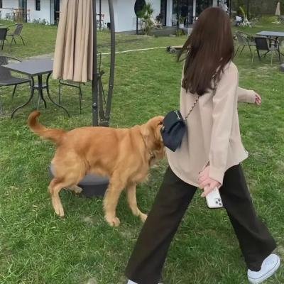 人类灭亡报告书